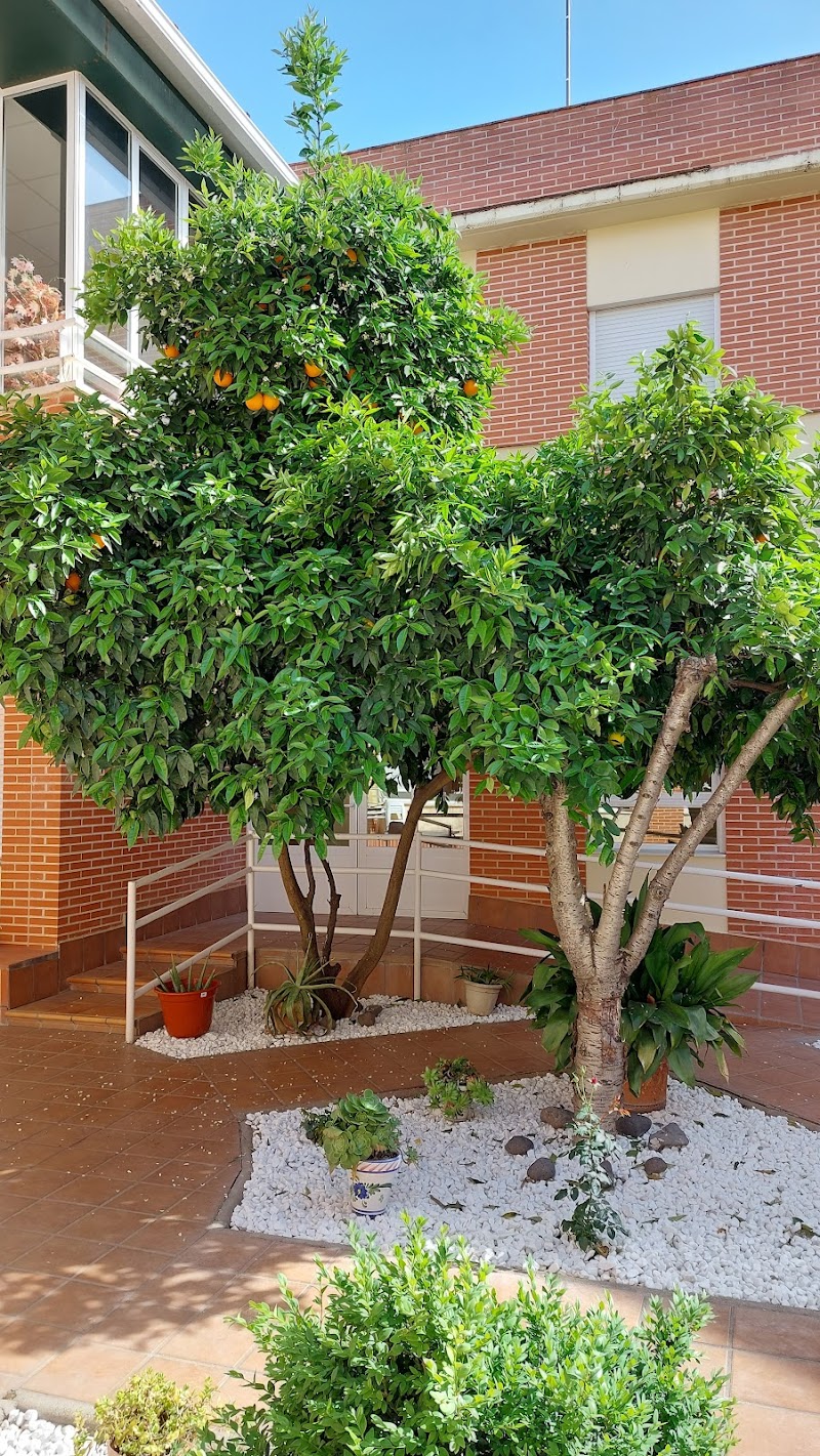 Residencia Acalia — foto 3