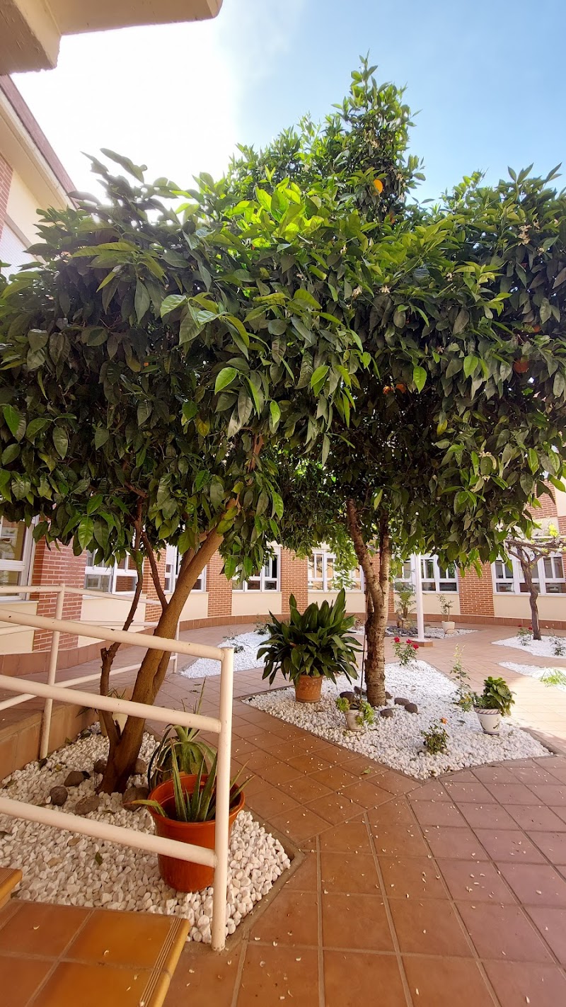 Residencia Acalia — foto 4