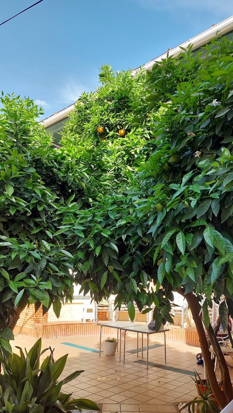 Residencia Acalia — foto 6