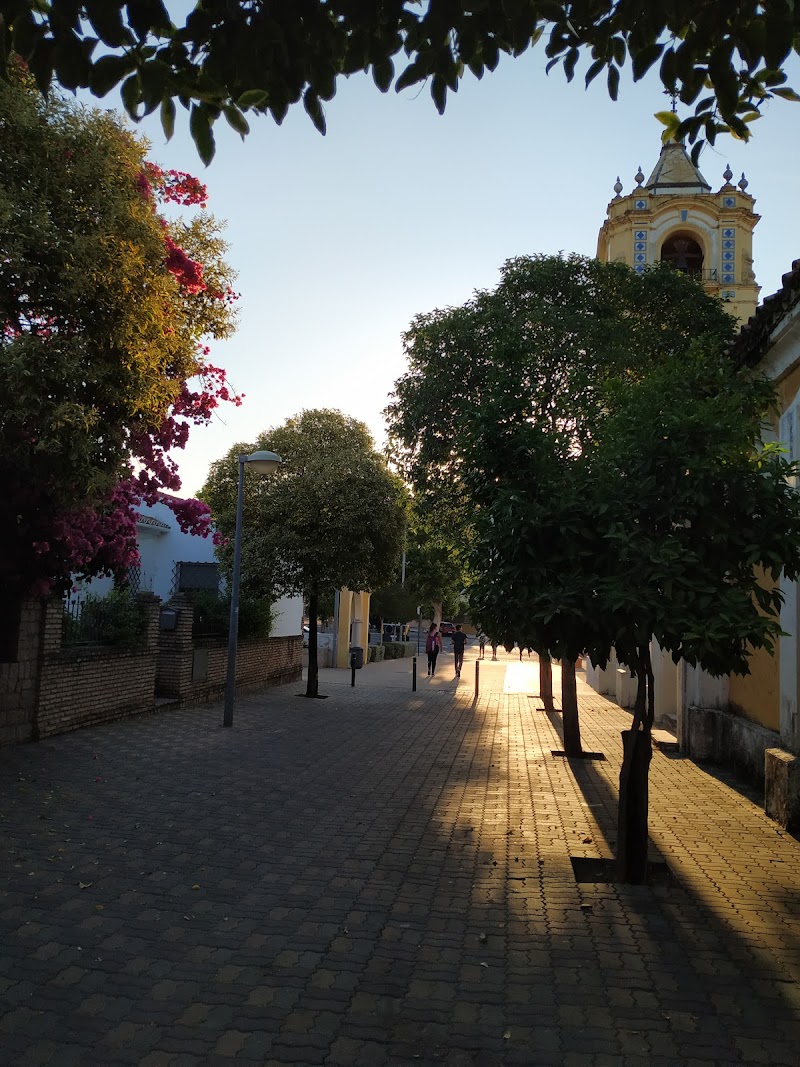 Residencia de personas mayores María Auxiliadora — foto 6