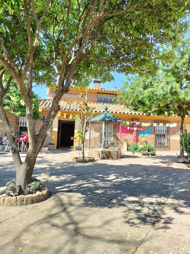 Residencia para personas mayores El Tilo — foto 2