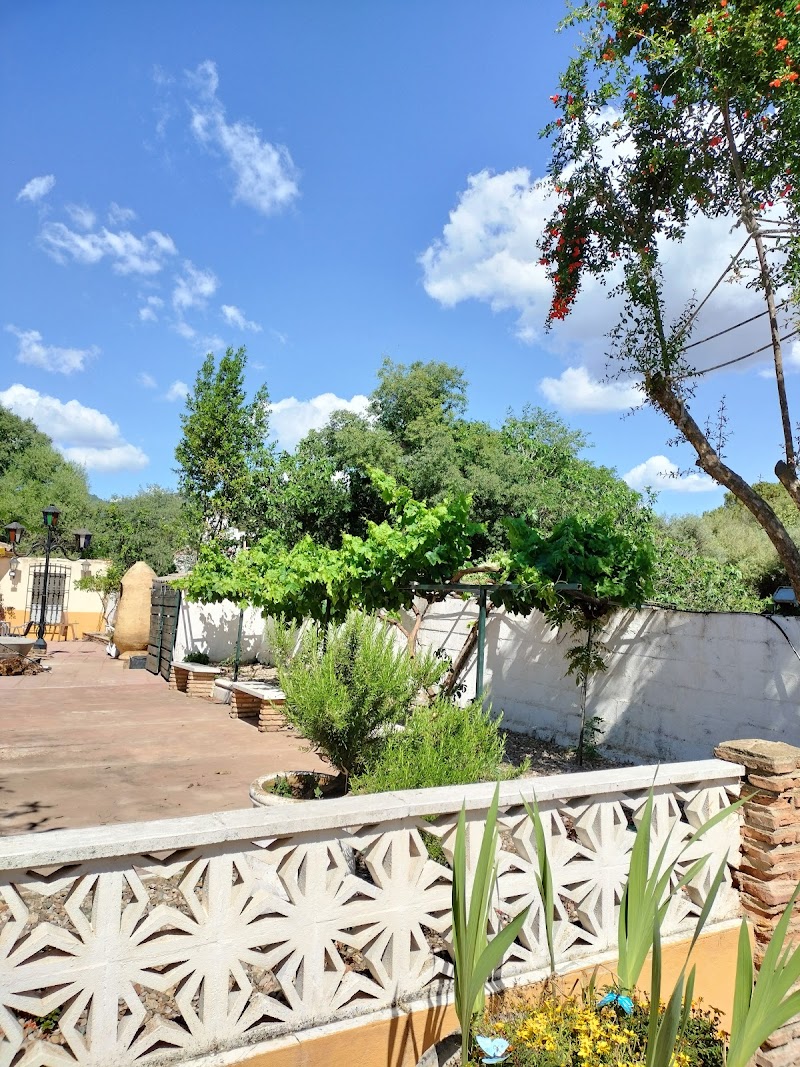 Residencia para personas mayores El Tilo — foto 4