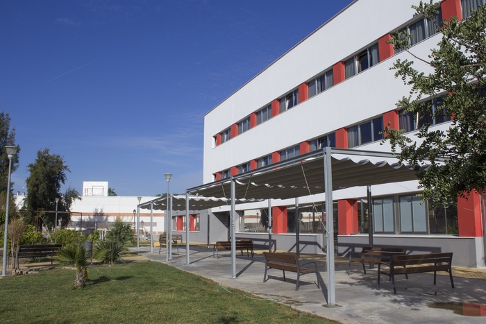 Vitalia Palma — foto 1