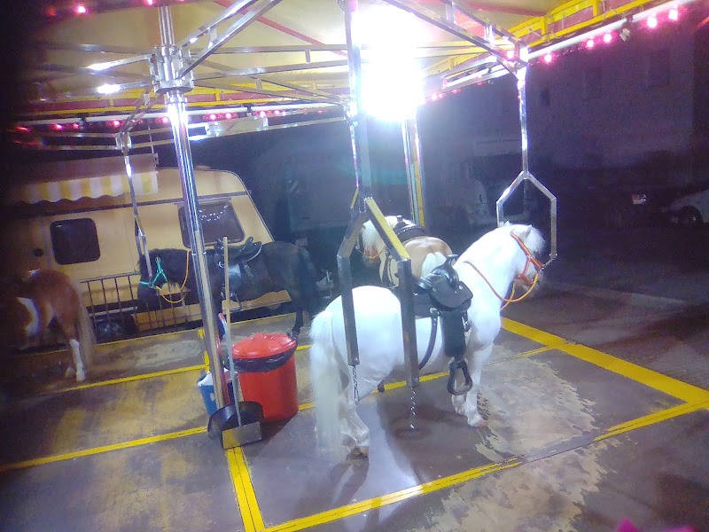 Centro Residencial para personas mayores Jesús Nazareno — foto 6