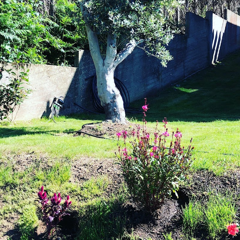 Fogar Residencial Parque Zapateira — foto 9