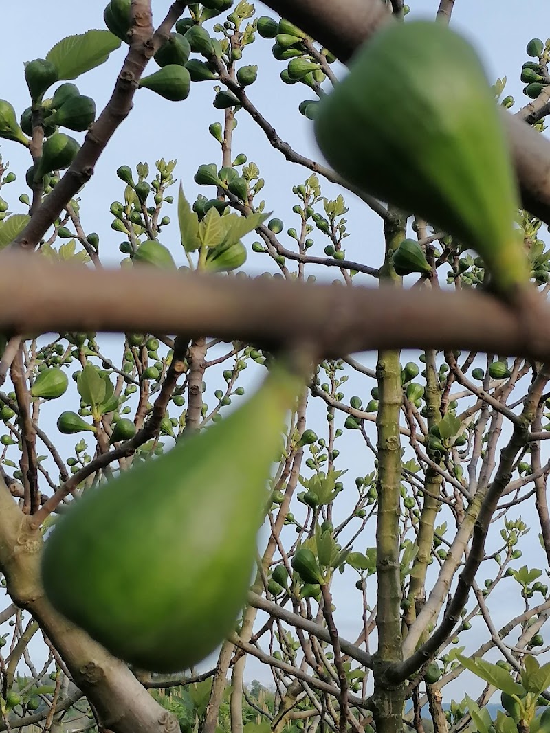 Residencia Nuestra Señora de la Paz — foto 5