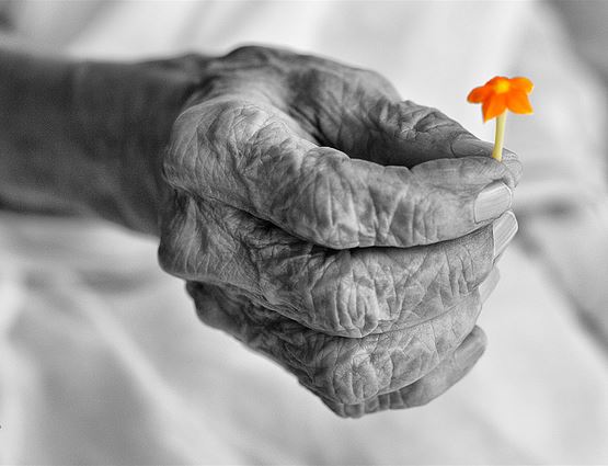 Miniresidència per a gent gran Joaquina Redondo Muñoz — foto 7