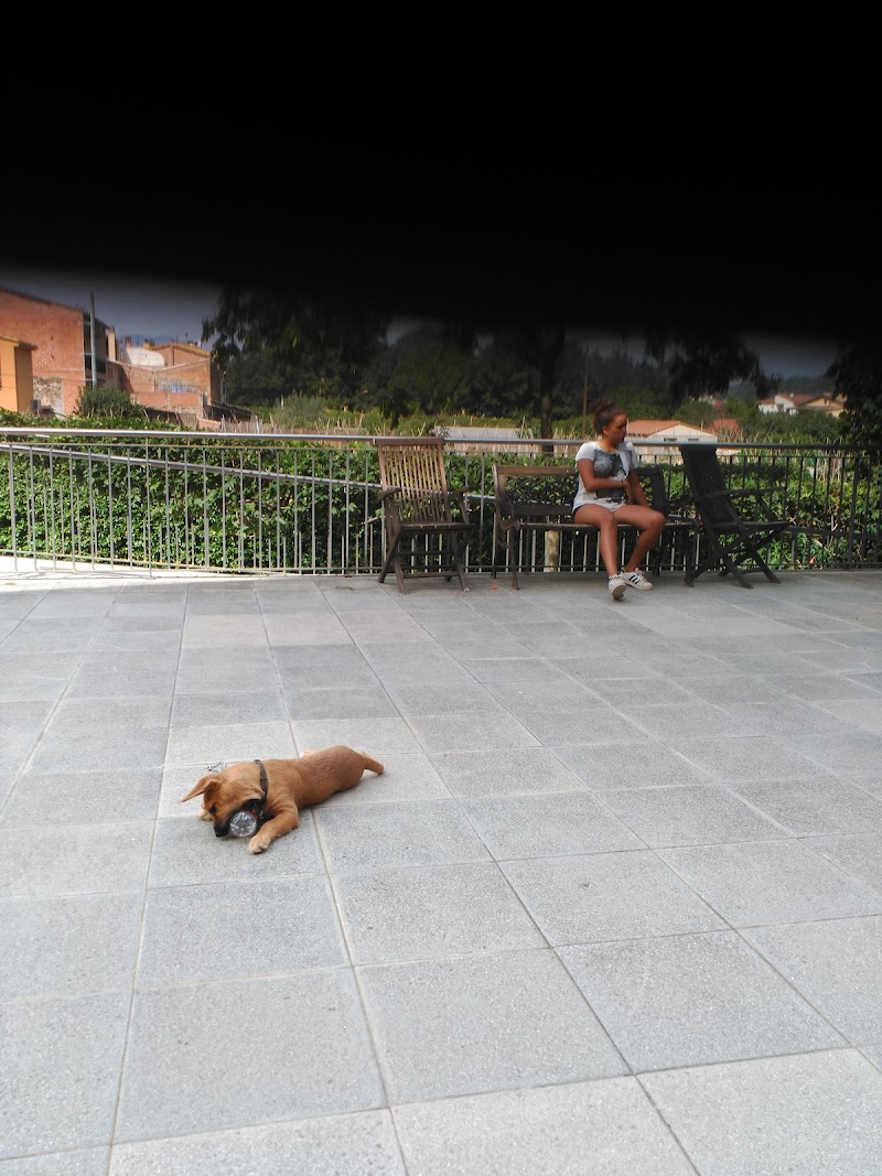 Residència Santa Anna — foto 8