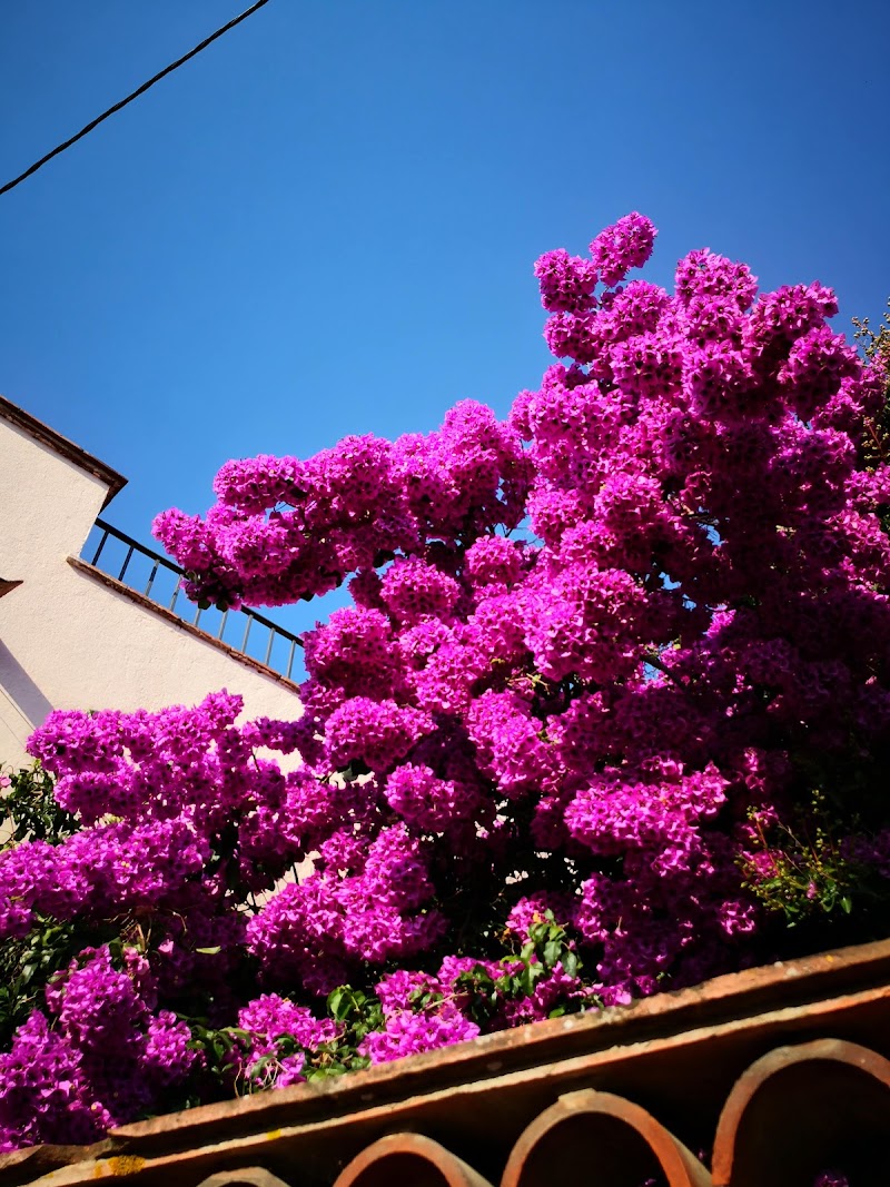 Residència Calonge — foto 7