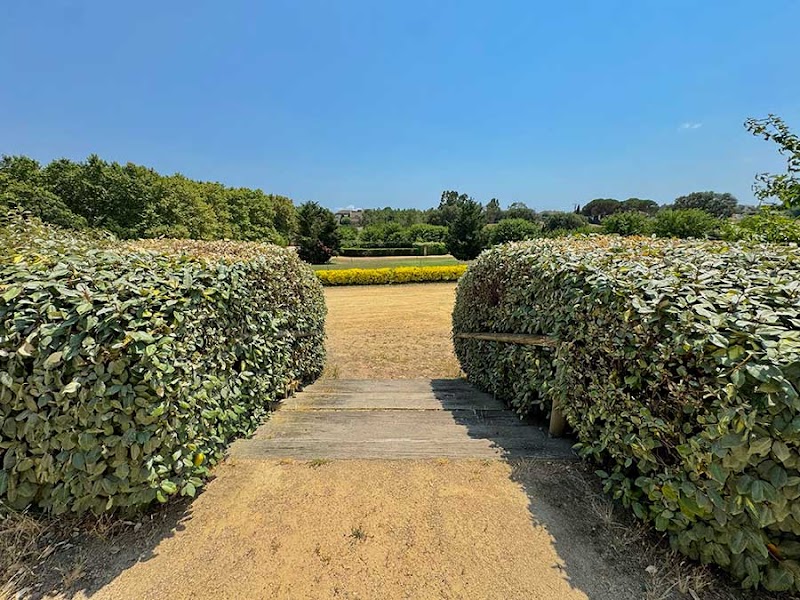 Residència Gent Gran Sils — foto 7