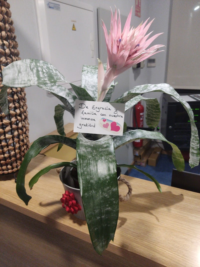 Residencia de personas mayores Claret Granada — foto 6