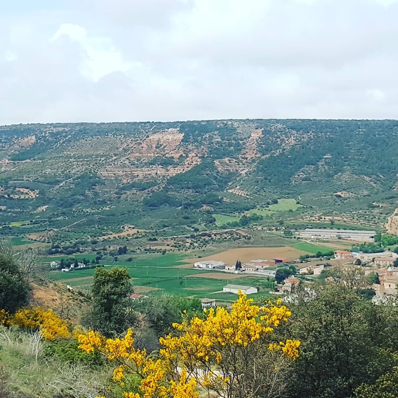 Residencia de Mayores Virgen de la Peña — foto 4