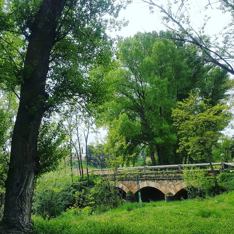 Residencia de Mayores Virgen de la Peña — foto 5