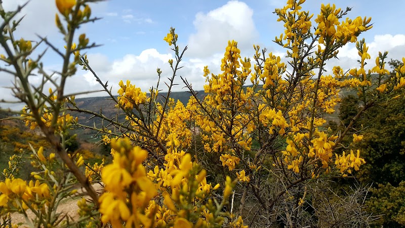 Residencia de Mayores Virgen de la Peña — foto 6