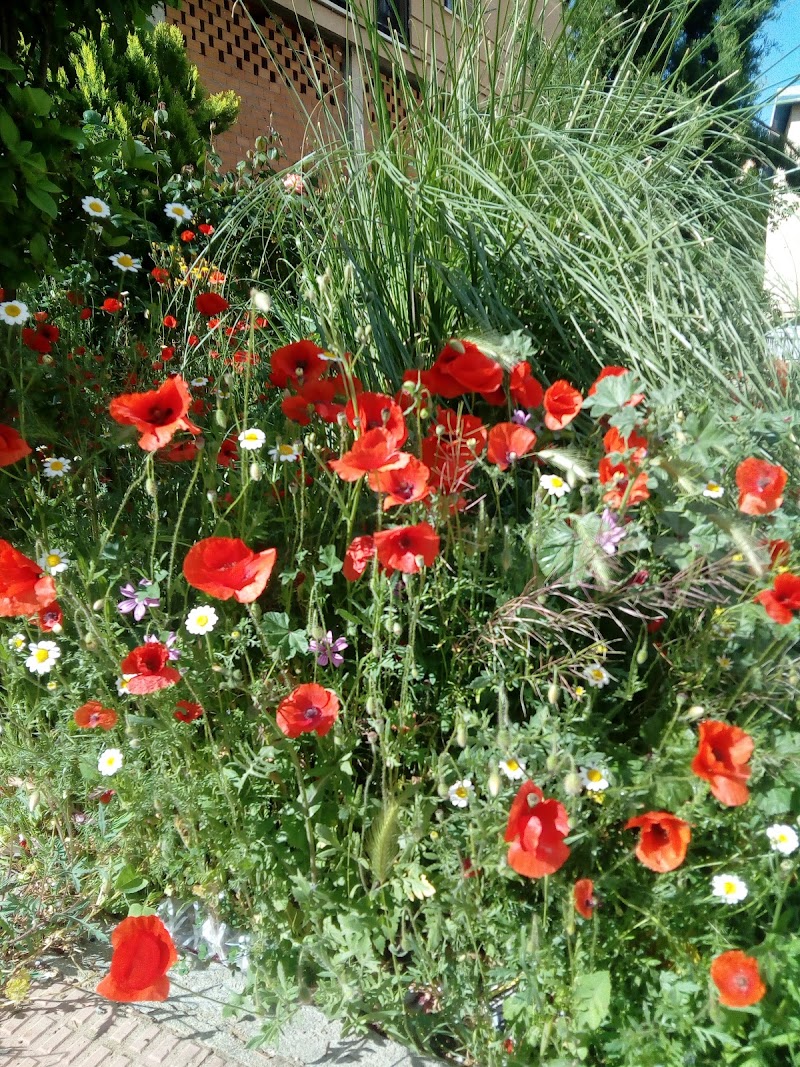 Residencia de Mayores Virgen de la Peña — foto 10