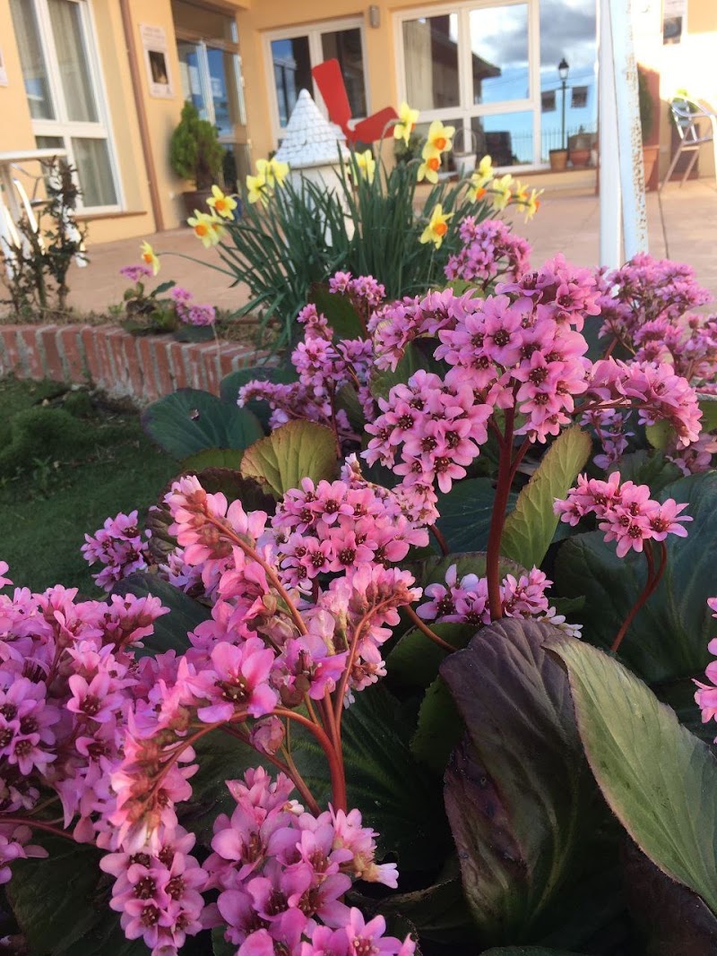 Residencia Campiña de Viñuelas — foto 2