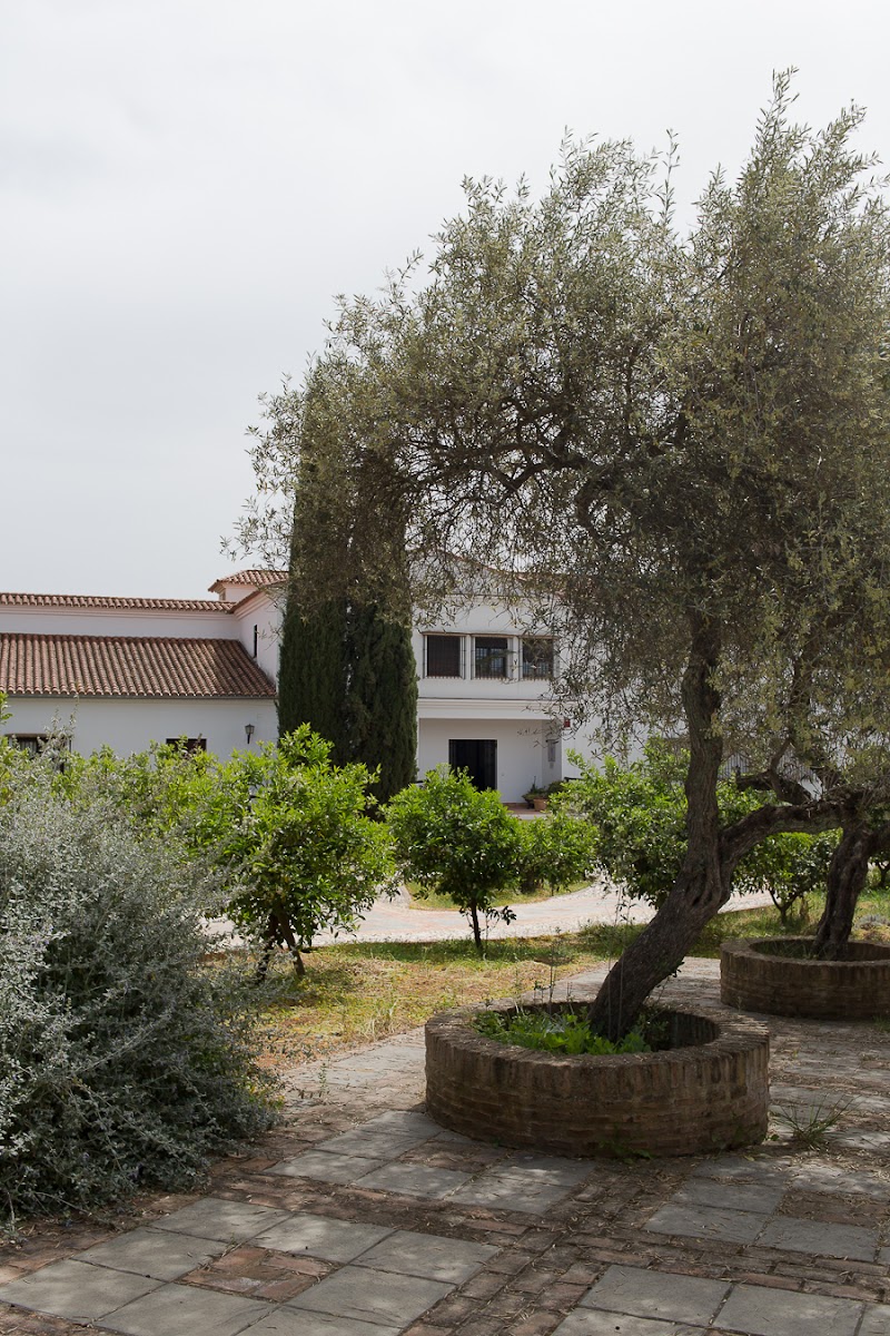 Centro residencial Santa María de Gracia — foto 5