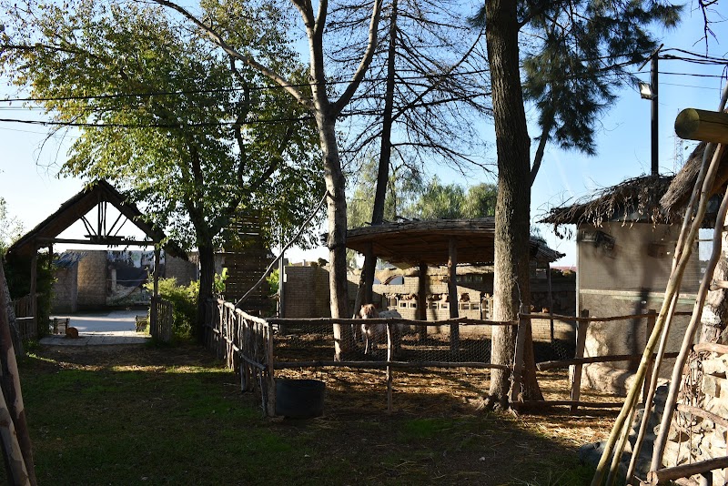 Residencia de personas mayores El Cristo Roto — foto 5