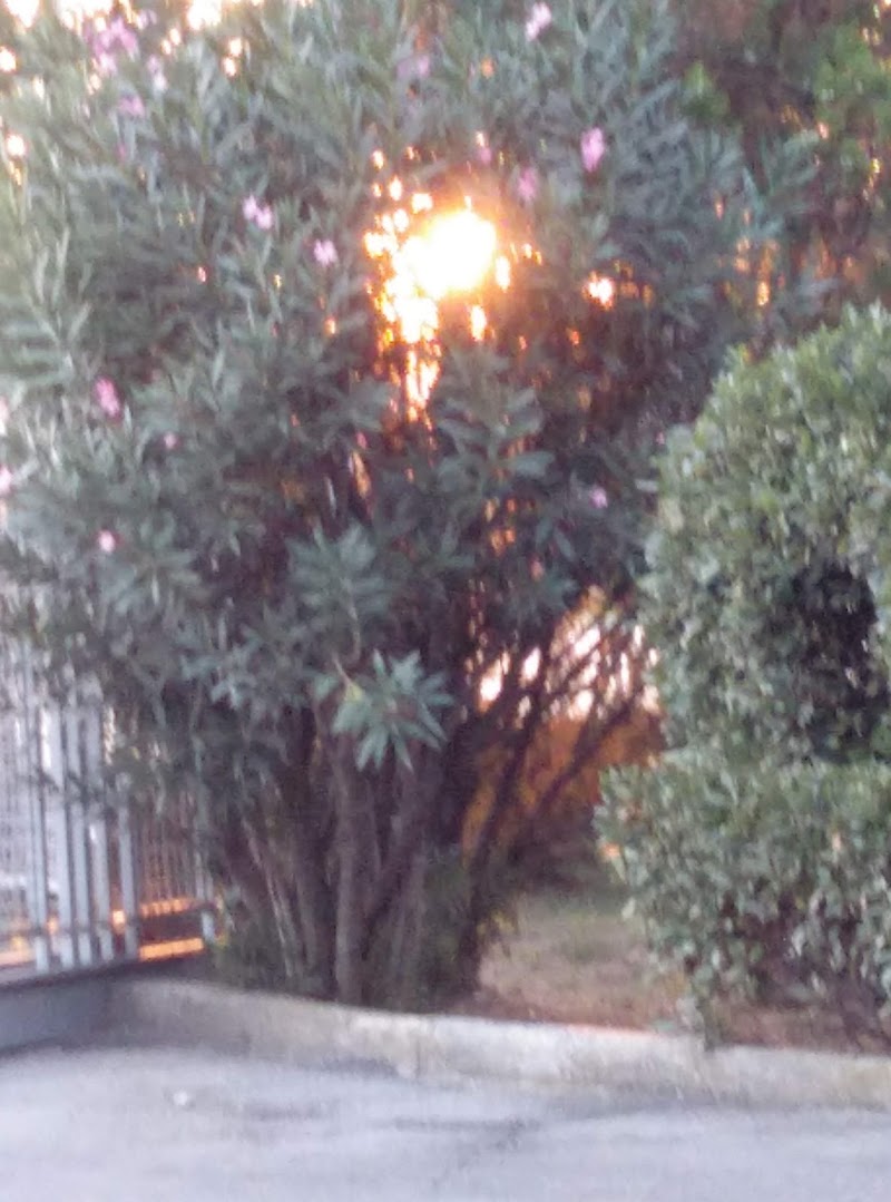 Residencia de ancianos Misioneras de Nuestra Señora del Pilar — foto 3