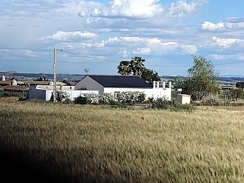 Tamarite Residencial, S. L. — foto 3