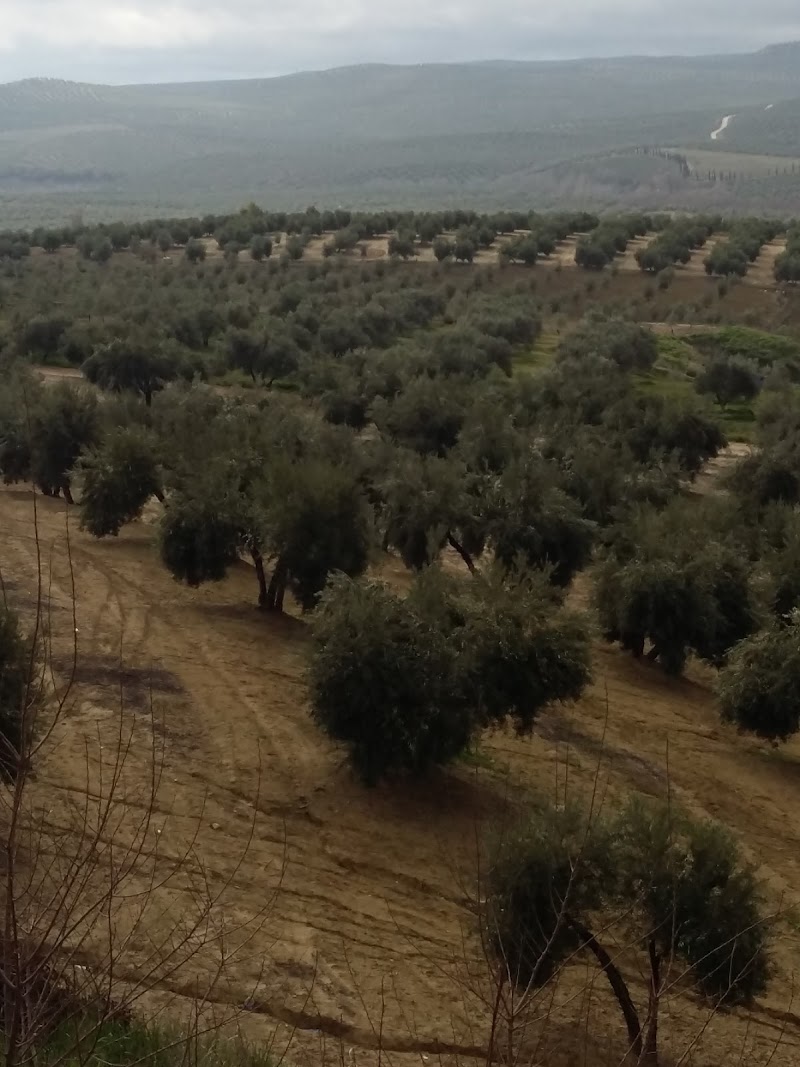 Residencia Jesús Nazareno y San Juan de Dios — foto 3