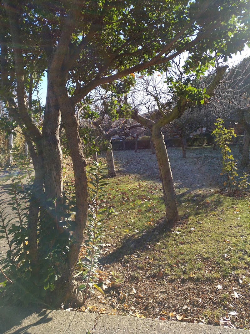 Residencia San Francisco de Asís — foto 10