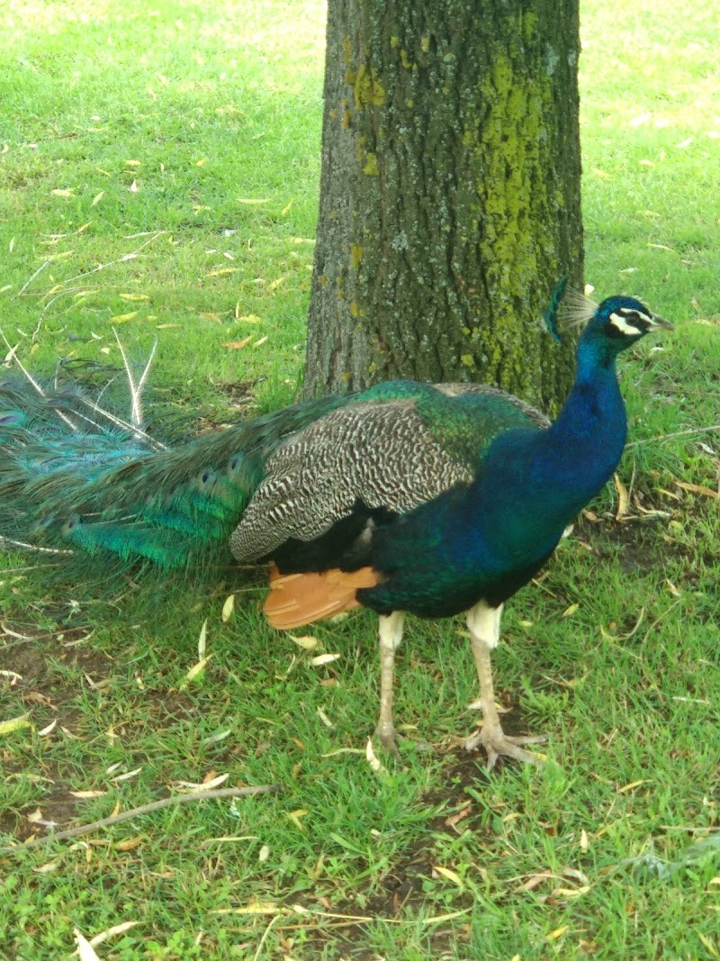 Residencia Edad de Oro — foto 3