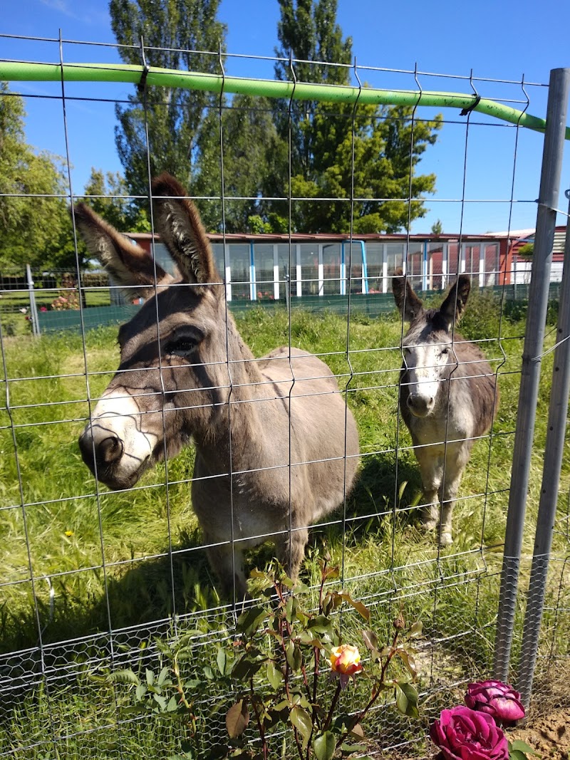 Residencia Edad de Oro — foto 4