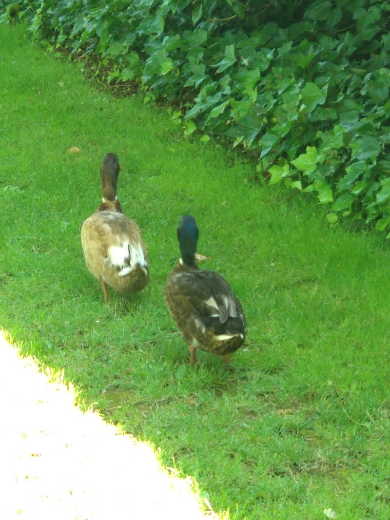 Residencia Edad de Oro — foto 7