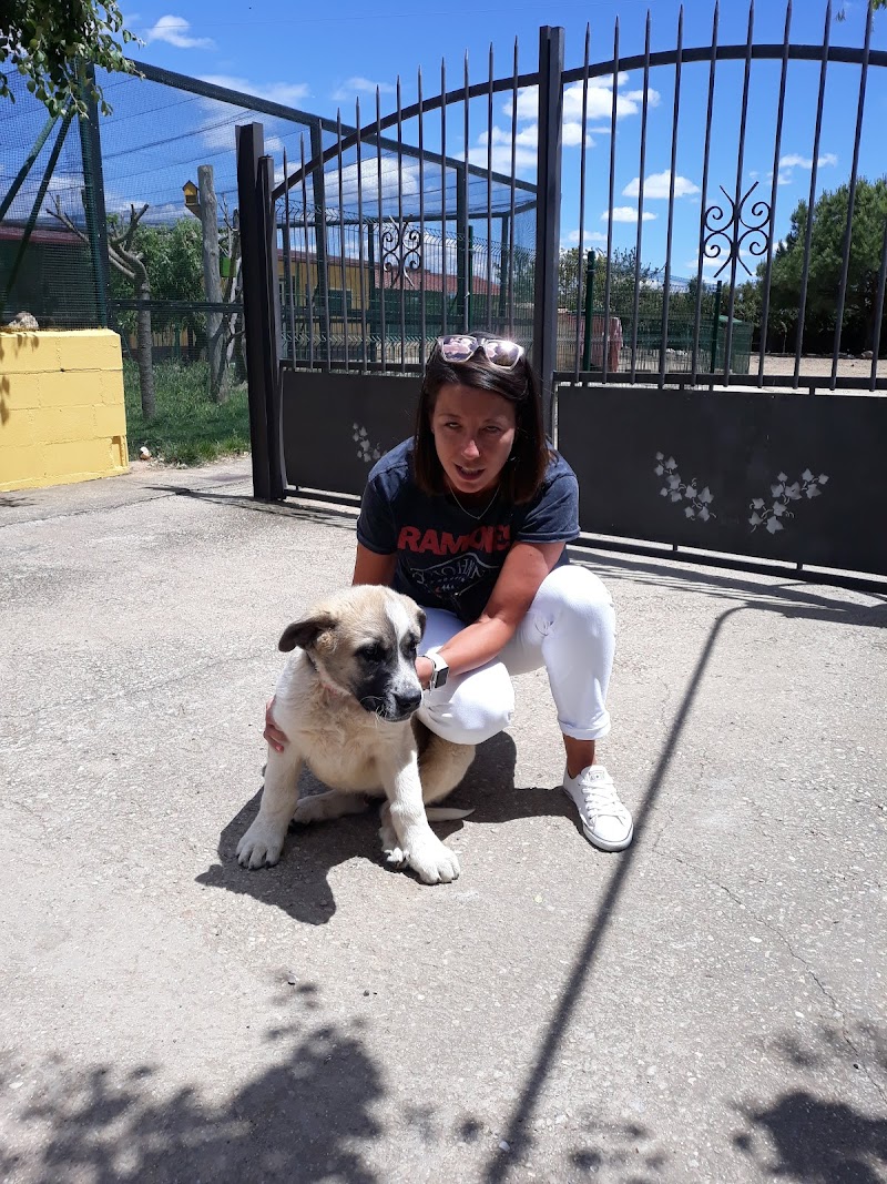 Residencia Edad de Oro — foto 8