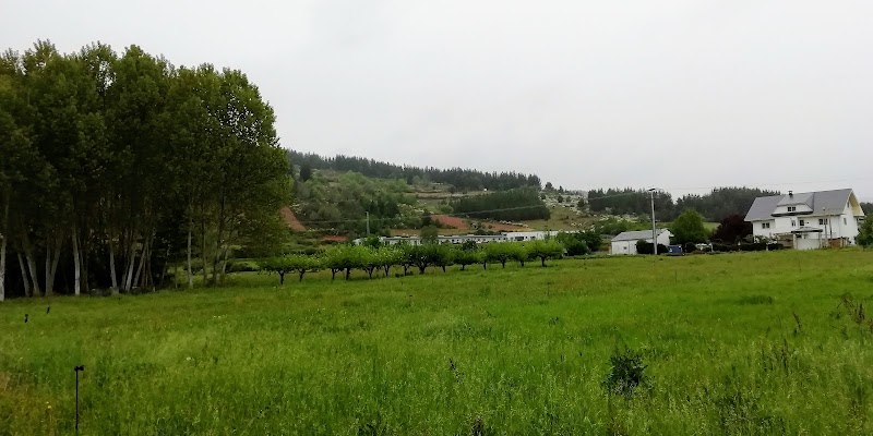 Residencia La Piñera — foto 2