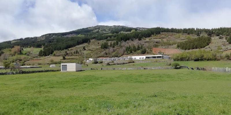 Residencia La Piñera — foto 4