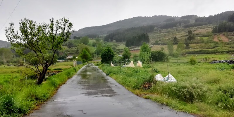 Residencia La Piñera — foto 9