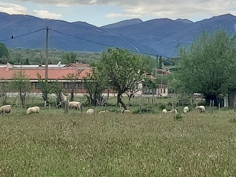 Residencia Nuestra Señora de la Asunción — foto 3