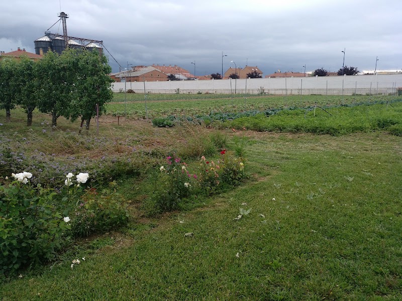 Residencia Atardecer — foto 5