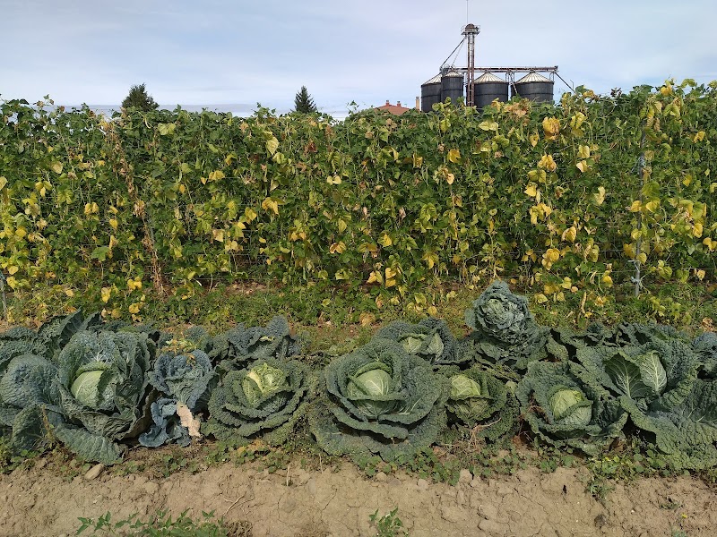 Residencia Atardecer — foto 9