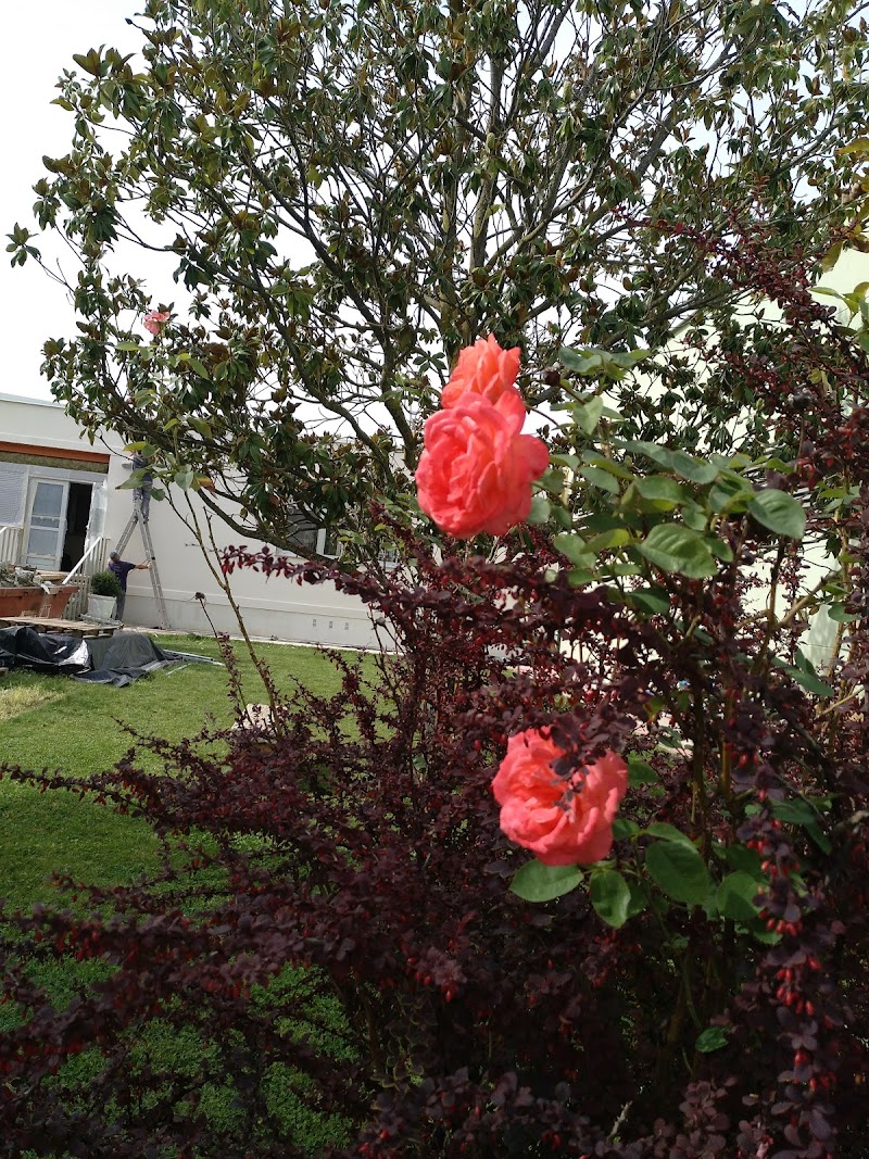 Residencia Atardecer — foto 10