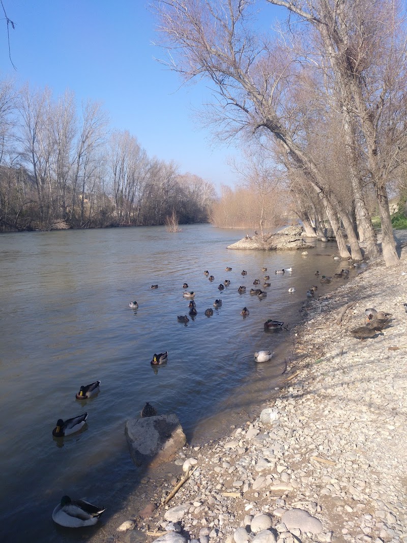 Residència geriàtrica Sant Domènec — foto 3