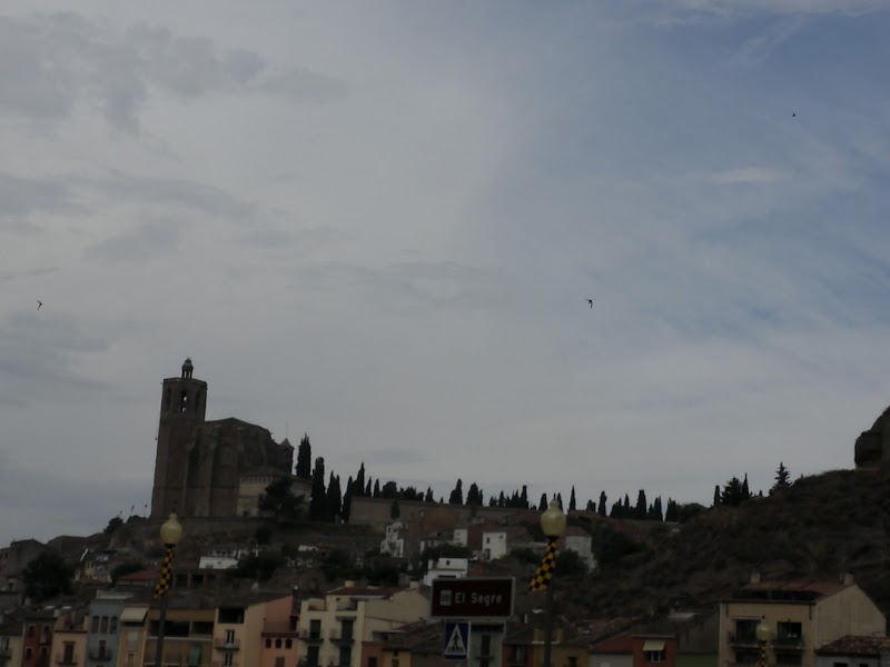 Residència geriàtrica Sant Domènec — foto 9