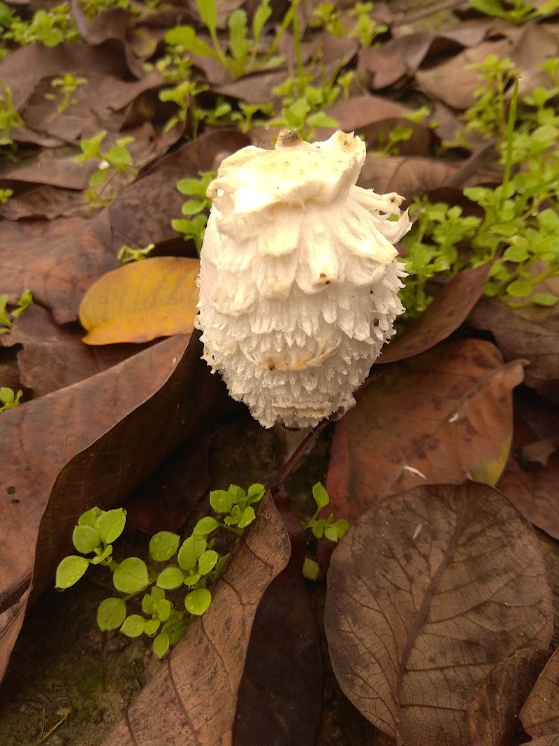 Residència geriátrica El Sagrat Cor de Benavent de Segrià — foto 8