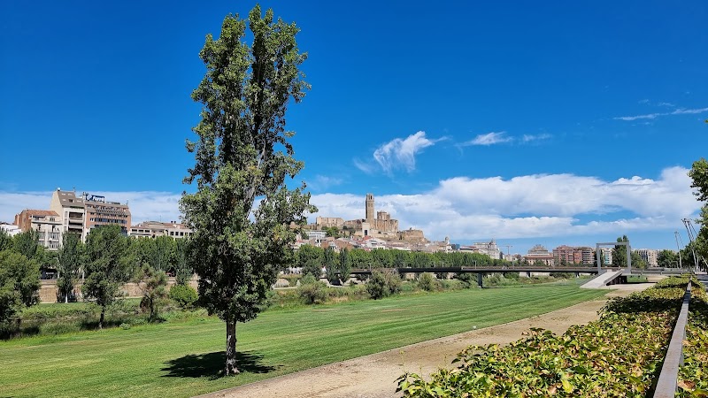 Clece Vitam Ponent — foto 6