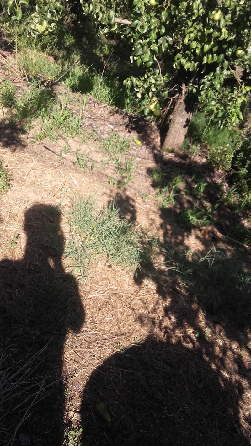 Centre Residencial Joviar — foto 3