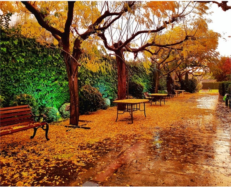 Residencia Castrillón — foto 9