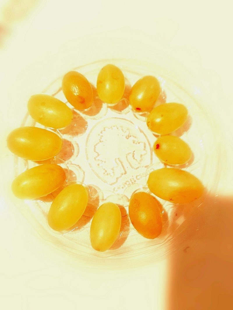 Casa familiar Josep Jaques — foto 8