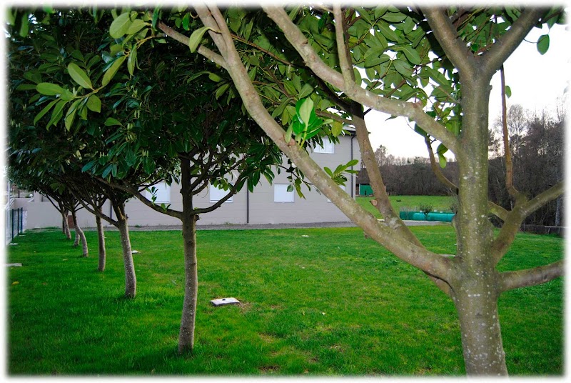 Residencia Mannán — foto 6