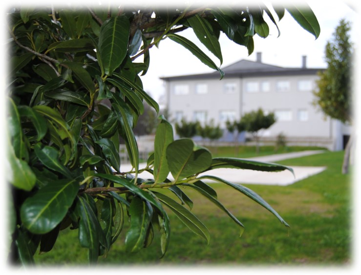 Residencia Mannán — foto 7