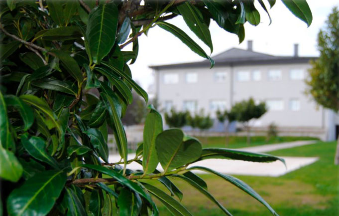 Residencia Mannán — foto 9