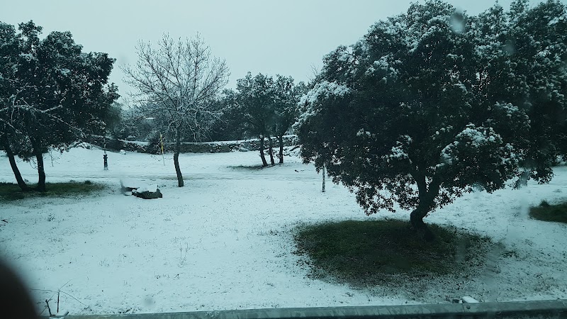 Los Llanos Vital — foto 6