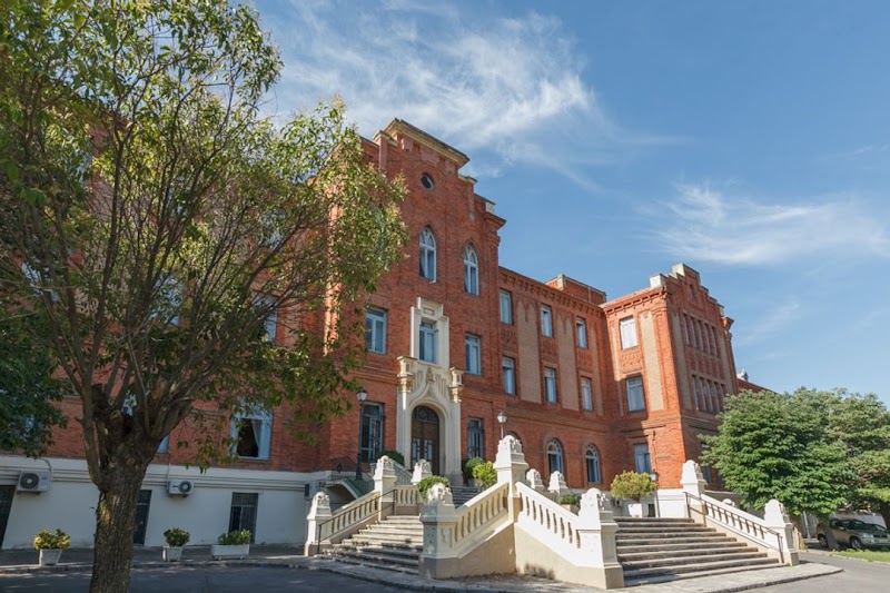 DomusVi Real Deleite — foto 7