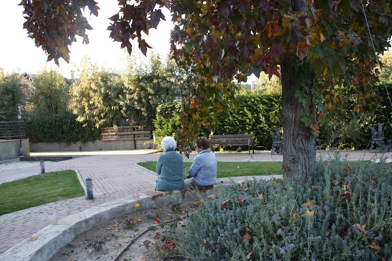 Residencia Vigor — foto 8